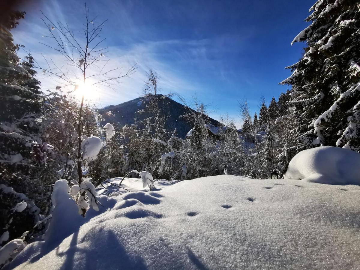 Chalet Caprea Bad Kleinkirchheim Exteriör bild